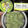 elmer's glue strain