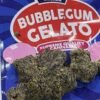 bubblegum gelato strain
