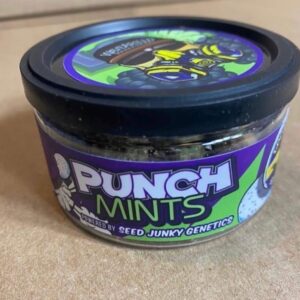 Punch Mints Strain