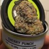 cherry punch strain