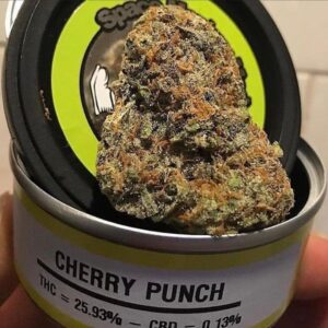 cherry punch strain