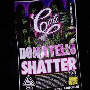 Donatello Shatter